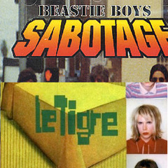 Beastie Boys vs Le Tigre