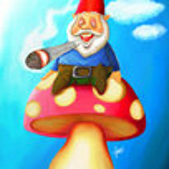 Bioteq - Sokkas Mushroom