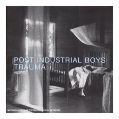 Post Industrial Boys - Iced Sea