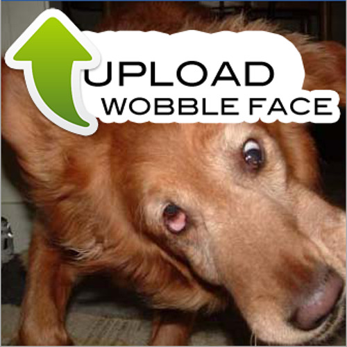 Amber Raindrops 3.0 (Vs Zero's Wobble Rub Edit)