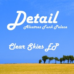Drum and Bass - DETAIL - Platinum Euphoria