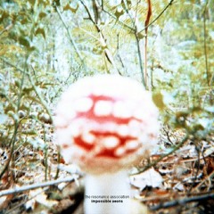 The Resonance Association - Age Of Dust