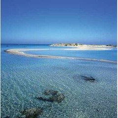 Babylonia - Born Again