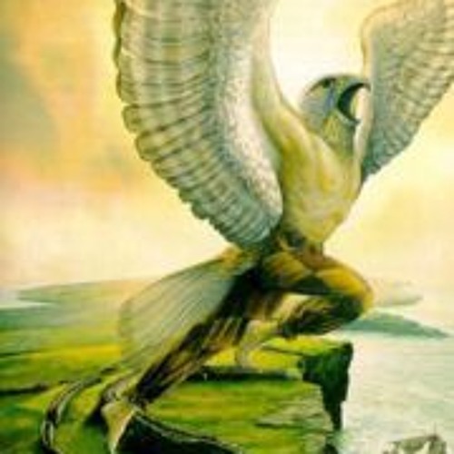 A Light Skip into Flight
