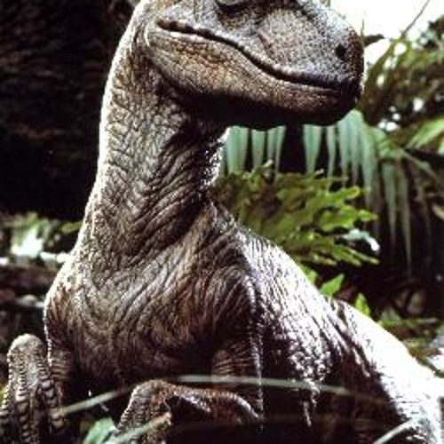 Dash Total'D - Raptor