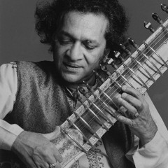 while my sitar gently weeps