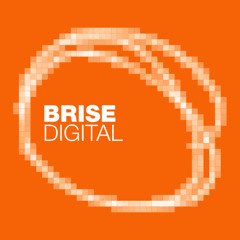 Dualton & Wollion - Talking about Deep [Brise Records]