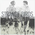 Strange&#x20;Birds Chasing&#x20;Ghosts Artwork