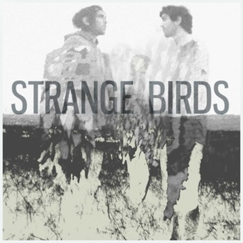 Strange Birds - Chasing Ghosts