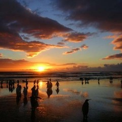 Zamjam - Extreme Stars (the b-sides)