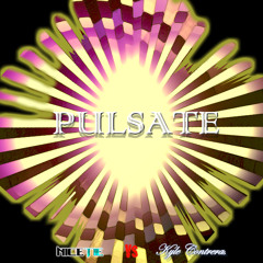 Pulsate - NiceTie vs Kyle Contreras