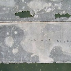 You Are Alive