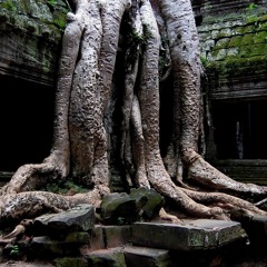 "(Vibin' with Obed) Let It Be"  (Obed Jean Louis and I in the studio)