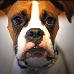 Sneaky Sound System - We Love - James Curd Remix Full