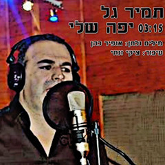 תמיר גל - יפה שלי