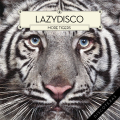 Lazydisco - More Tigers (The C90s Remix)