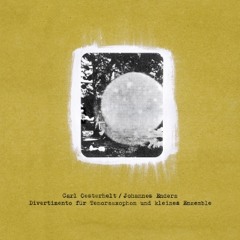 Carl Oesterhelt / Johannes Enders : Track 4