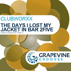 Clubworxx - The Days I Lost my Jacket in Bar 2Five (Agent Q Sun in your Face Remix) Snippet