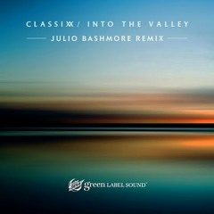 Into the Valley (Julio Bashmore Remix)