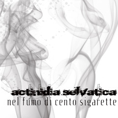 Actinidia Selvatica - 12 minuti