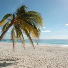 Robert Klein - beachwalker