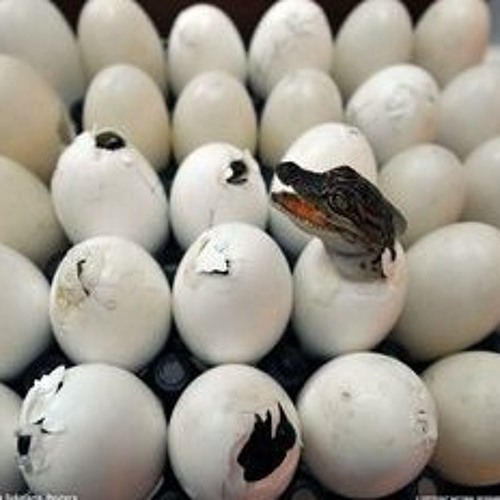 Sunride - More About Breaks vol.014 (14.02.2011)