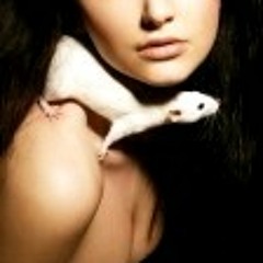 Mon Rat Sur L'épaule