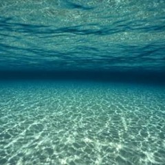 LAYING ON THE SAND AT THE BOTTOM OF THE SEA