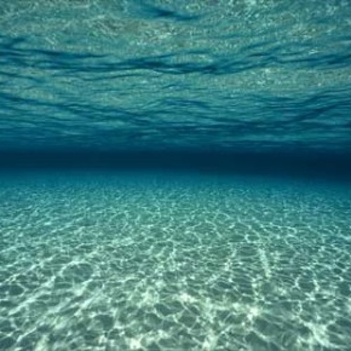 LAYING ON THE SAND AT THE BOTTOM OF THE SEA