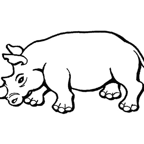 White Rhino Remix