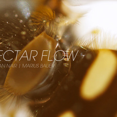 Nectar Flow