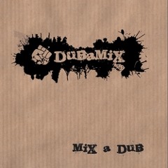 Dubamix - Rap in dub (Dub militant !)