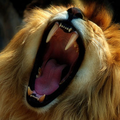 Fiyahpowa Mixtape #3 (The Bumps)