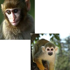 11 One Small Step LQ2 (Edit)