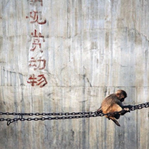 Mirwais feat Craig Wedren - Miss you