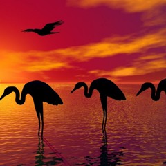 HUMAN RESOURCES - FREE SMOOTH JAZZ VOL. 1