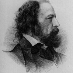 Aldo - Be Near Me When My Light Is Low