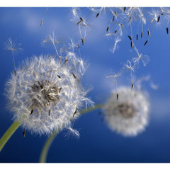 Nice Nate - the direction the wind is blowing