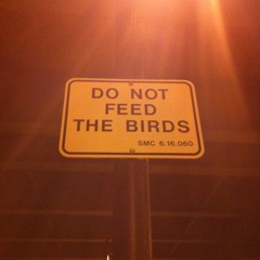 Lawrence nitebirds at Caltrain Lawrence Station