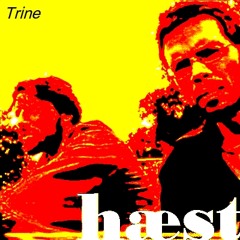 Hæst - Trine