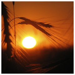 MightyB & Nick Cartez - Tavaszi Szél (Original Mix)