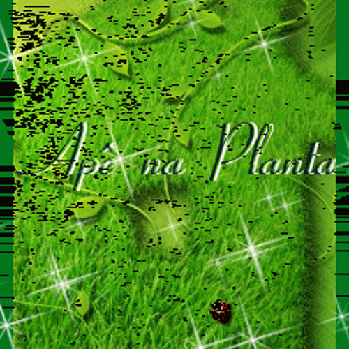 Blame it on the Boogie