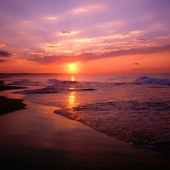 Timike track : ) (cut Dynamic Illusion mix )