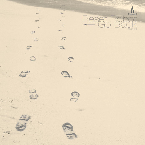 Reset Robot - 9AD [Truesoul]