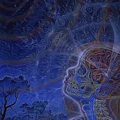 ISHTAR TERROR - E8 Theory