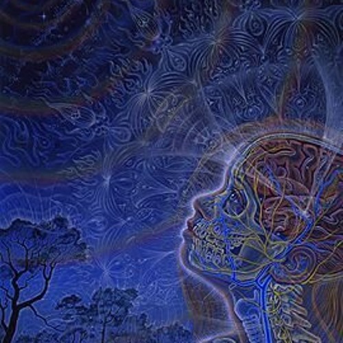 ISHTAR TERROR - E8 Theory