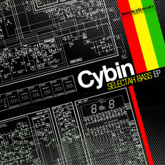 Cybin & Skuph - This Sound - (Promo clip)