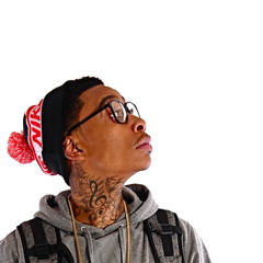 I Can't Say Yeah (Wiz Khalifa x Flux Pavilion)