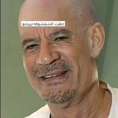 مجرودة زنقــــــة زنقــــــة دار دار