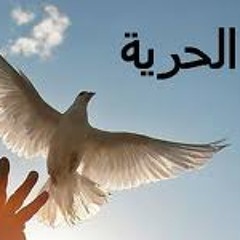 افراح ليبيا الحرة